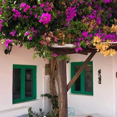 Casa Vacacional Buganvilla